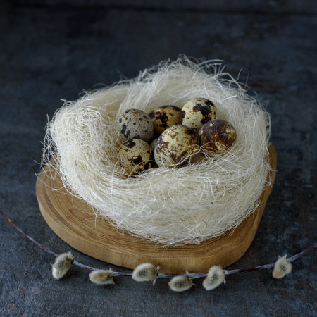 Natural quail eggs in nest and pussy willow branches on dark textured surface. Happy Easter concept