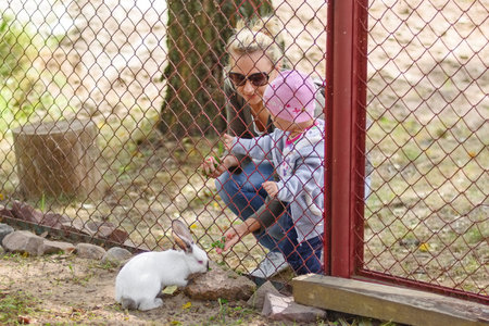 Cute little girl feeds rabbit on farm with her mother. Child familiezing herself with animals. Outdoor summer activities for kids: Minsk, Belarus- september 06, 2018のeditorial素材