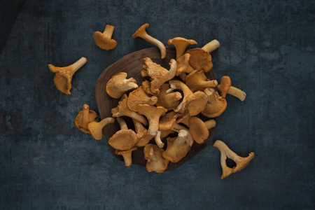 Organic wild chanterelle mushrooms on black stone background. Top viewの写真素材