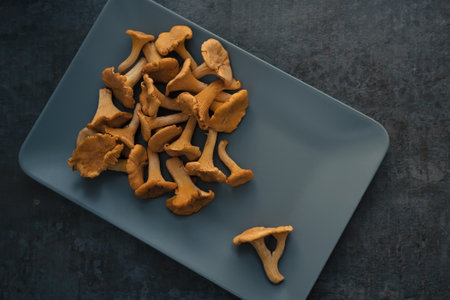 Organic wild chanterelle mushrooms in nordic design plate on black stone background. Top view.