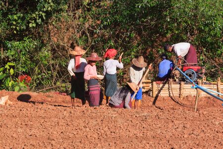 Kalaw highlands, Myanmar - November 18 2019: Local farmers working in the highlands around Kalaw and Inle Lake, Myanmar.のeditorial素材