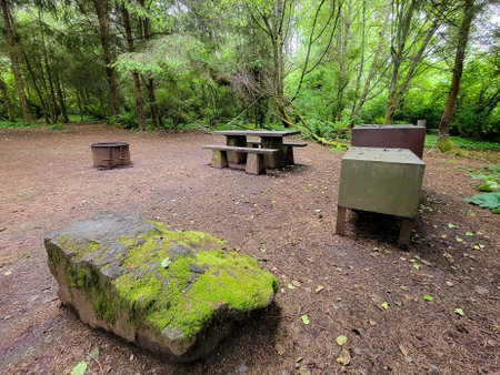 Campsite in the forest with picnic table, fire pit, and bear box.の写真素材