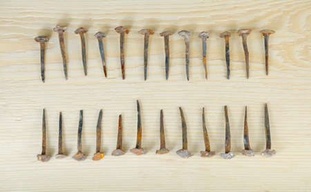 Old hand-forged nails laid out accurately in two ranks on a pine board.の写真素材
