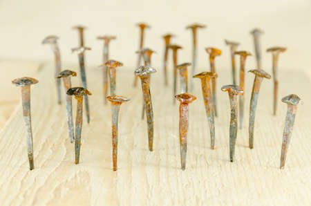 Old hand-forged nails hammered into a pine board.