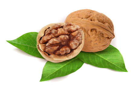 Walnut isolated on white background.の写真素材