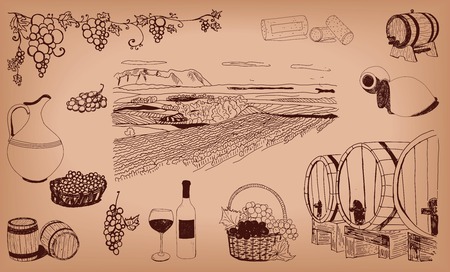 hand drawn wine set on backgroundのイラスト素材