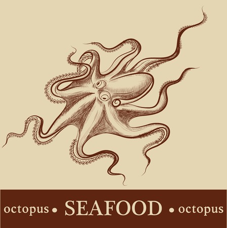 octopus. vector. detailedのイラスト素材