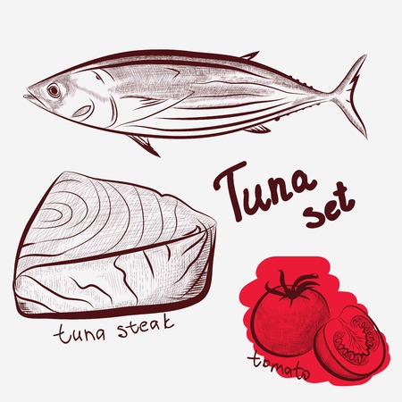 Fresh tuna steakのイラスト素材