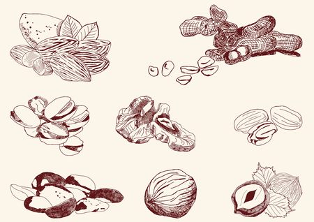 set of vector sketchesのイラスト素材