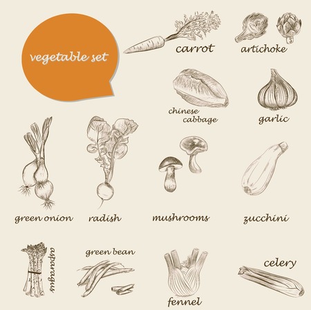 Collection of hand-drawn vegetables, vector illustration in vintage style.のイラスト素材