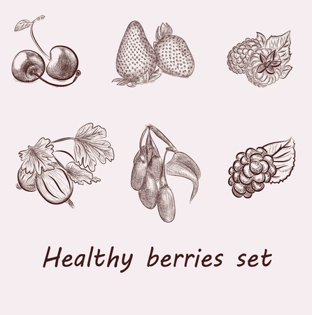 berries set. draw by Wacom Cintiq 13のイラスト素材