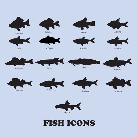 Collection of fish. vector iconsのイラスト素材