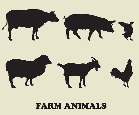 farm animals. vector iconsのイラスト素材