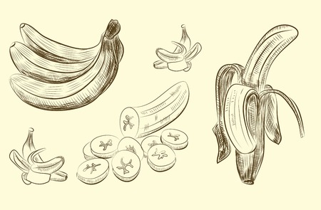Bananas set,  vector hand drawingのイラスト素材