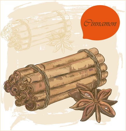 Kitchen herbs and spices banner with colorful stick and flower cinnamonのイラスト素材