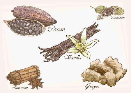 five isolated vector dessert colorful spicesのイラスト素材