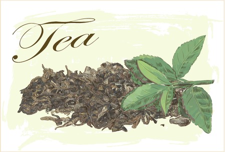 green and dry tea leaves on vintage backgroundのイラスト素材