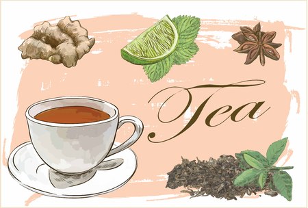 tea set vector sketch with ginger, anice, lime and mintのイラスト素材