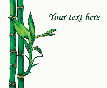 Colorful detailed vector illustration of bamboo with text for youのイラスト素材