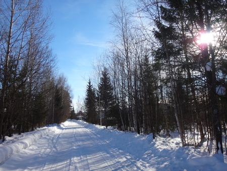 Winter road in suuny dayの写真素材