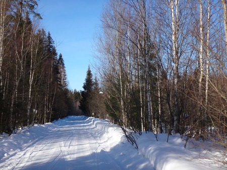 Winter road in suuny dayの写真素材