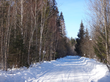 Winter road in suuny dayの写真素材