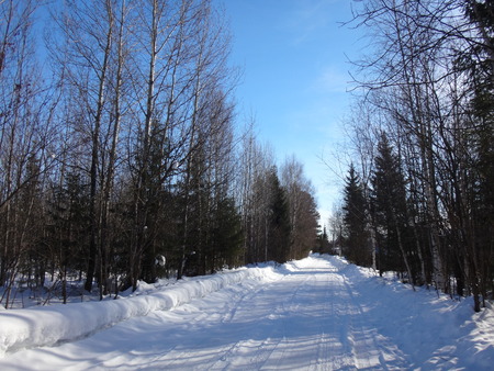 Winter road in suuny dayの写真素材