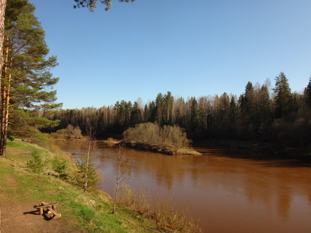 Broun river in early spring in the forestの写真素材