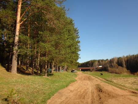 road in the forestの写真素材
