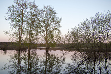 Sunset over water and trees in summer evening
