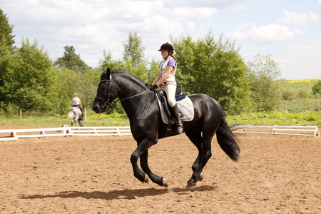 Russia, Kirov - June 15, 2016: Training of horses in sports school in Kirov city in 2016のeditorial素材