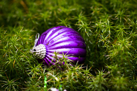 Toys for Christmas and the New yearの写真素材