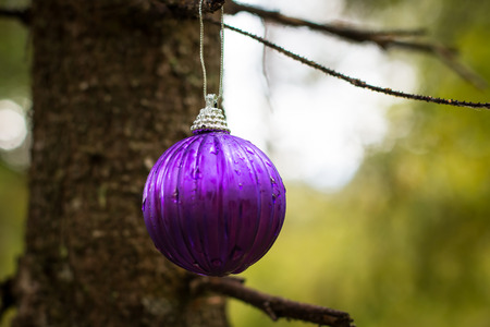 Toys for Christmas and the New yearの写真素材