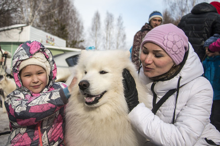 Kirov, Russia - March 13, 2016: People and dogs during the celebration of the end of winter named...