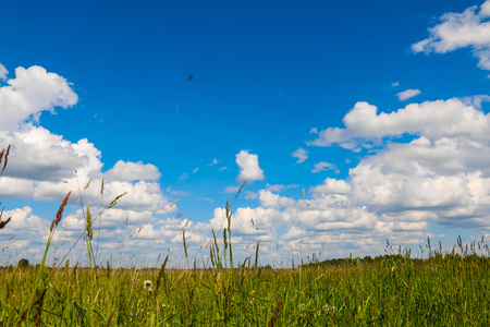 The sky and clouds on the skyの写真素材