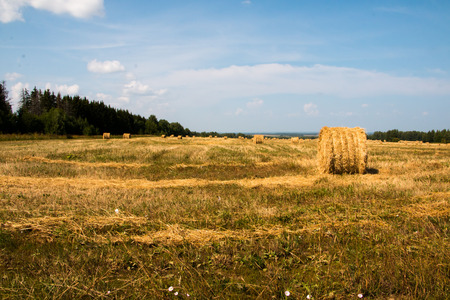 Field and yellow straw in autumn dayの写真素材