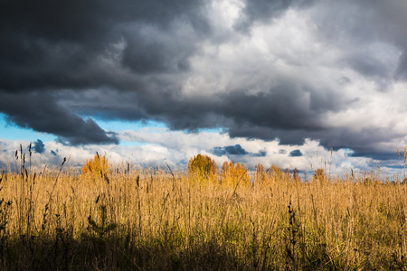The sky and clouds on the skyの写真素材