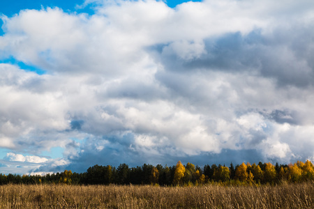 The sky and clouds on the skyの写真素材