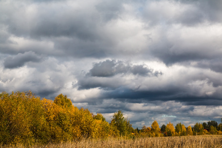 The sky and clouds on the skyの写真素材