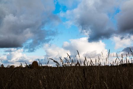 The sky and clouds on the skyの写真素材
