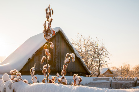 Winter village and snow around in a nice dayの写真素材