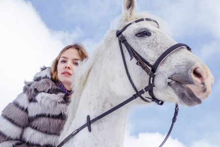 Nice girl and white horse outdoor in a winter dayの写真素材