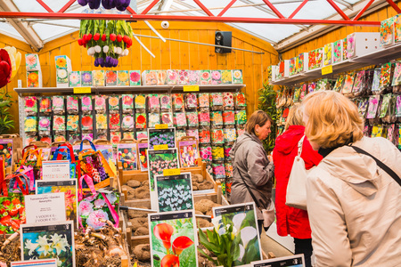 Amsterdam, Netherlands - April, 23, 2017: Selling flowers at the flower market in Amsterdam in 2017のeditorial素材