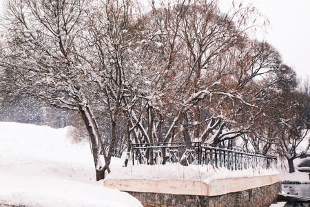 Park in a cold winter day and snowの写真素材