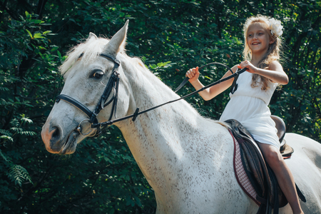 Young girl on the white horse and forestの写真素材