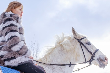Nice girl and white horse outdoor in a winter dayの写真素材