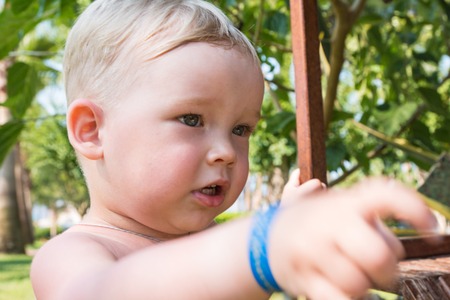 Portrait of small boy in a park in a summerの写真素材