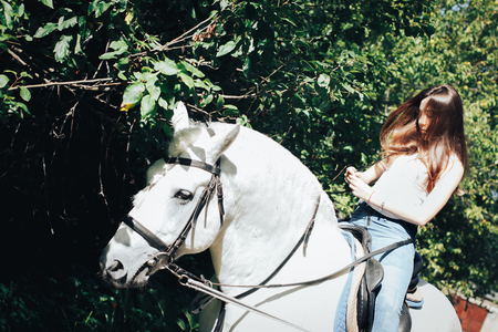Girl teenager and white horse in a park in a summer dayの写真素材