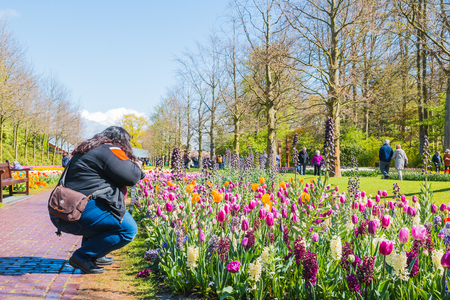 Lisse, Netherlands - April 25, 2017: People in the park of flowers Keukenhofのeditorial素材