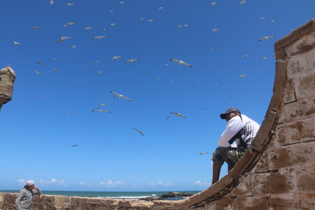 Essaouira, Morocco - May 13, 2016: Tourists in Essaouira city in a summer dayのeditorial素材